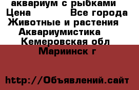 аквариум с рыбками › Цена ­ 1 000 - Все города Животные и растения » Аквариумистика   . Кемеровская обл.,Мариинск г.